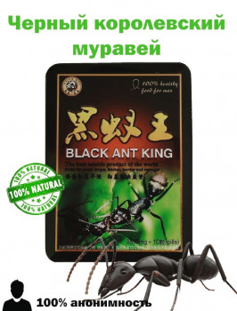 Королевский чёрный муравей 